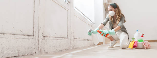 Gary, IN Mold Inspection, Removal & Remediation Company